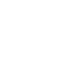 Customizable Programs
